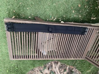 Black girth, Elena, Popręgi, Alfas del Pi