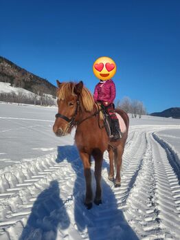 Reinrassige 6 jährige Isländer stute ca 145 stkm, Theresia blaickner hollaus, Konie na sprzedaż, Fusch