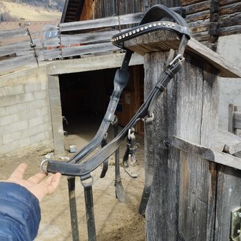 Dänische Ausbildungstrense von Töltsaga Töltsaga Ausbildungstrense 