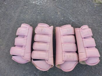 Dressurgamaschen, Riderschoice, Mandy Kaben , Tendon Boots, Kelkheim (Taunus)