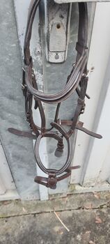 Gamaschen, Zaumzeug, Halfter