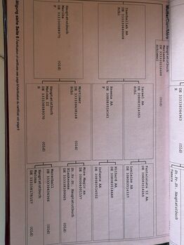 Liebe tolle Stute als bei stell Pferd an.