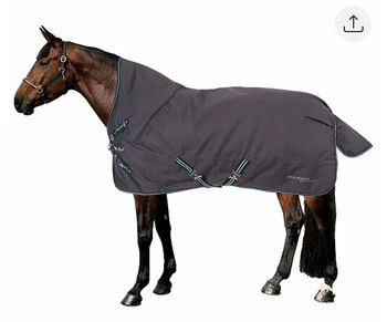 Deckensystem Highneck 0g-300g 145cm, FelixBühler, Laura, Horse Blankets, Sheets & Coolers, Kleinmachnow