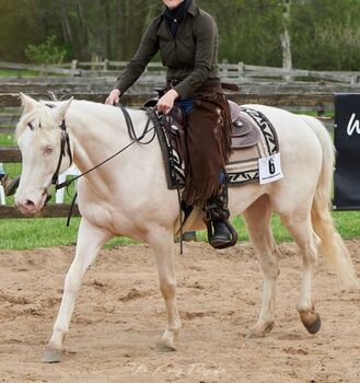 engagierte Quarter Horse Mix Stute in ausgefallener Farbe, Kerstin Rehbehn (Pferdemarketing Ost), Horses For Sale, Nienburg