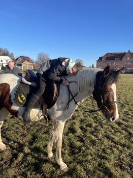 Endmaßpony zu verkaufen, Leatitia, Horses For Sale, Gröningen 