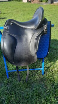 Deuber el campo S2, Deuber El Campo , Claudia , Dressage Saddle, Oggau am Neusiedler See