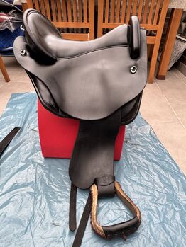 Deuber Quantum mit viel Zubehör, Deuber & Partner Quantum, Steffi, Endurance Saddle, Bergheim
