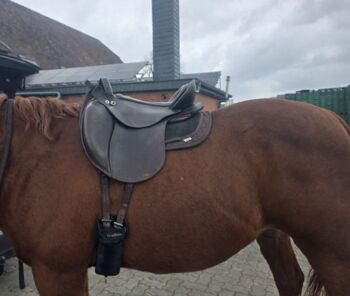 Deuber Startrekk Delfin Deuber  Delfin 