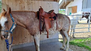 Deuber Westernsattel Flex Fit Vario 1805- Old Style Deuber 