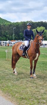 Deutsches Sportpferd