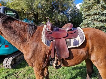 Diamond C Westernsattel 17 zoll, Diamond  C, Jassi , Western Saddle, Gnoien