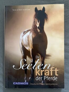 Die Seelenkraft der Pferde: Intuitiv mit Pferden kommunizieren, Dani, Books, Greiling 