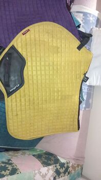 Dijon lemieux saddle pad, Lemieux  Lemieux , Chelsea , Other Pads, Dundee 