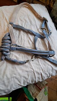 Diverse Halfter mit Strick, Hüther, Halters, Berlin 