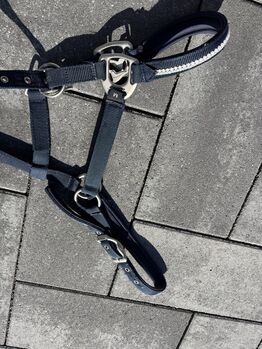 Verschiedene Halfter