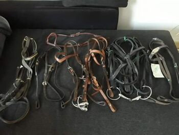 Verschiedene Trensen, Jessica Schmauß, Bridles & Headstalls, Neudenau