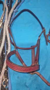 Diverse Halfter Leder Knoten universal