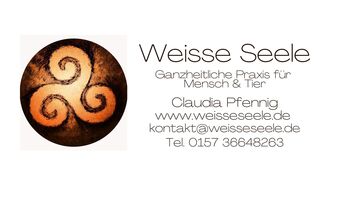 Tierkommunikation - energetische Osteopathie, Pferd, Hund, Katze, Claudia Pfennig WeisseSeele, Therapy & Treatment, Bad Birnbach