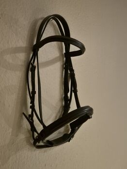 Gut erhaltene Trense