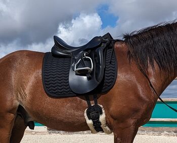 DOGE PRESTIGE DRESSURSATTEL 17 ZOLL, DOGE  PRESTIGE, Anna Gerloff, Dressage Saddle, Faro