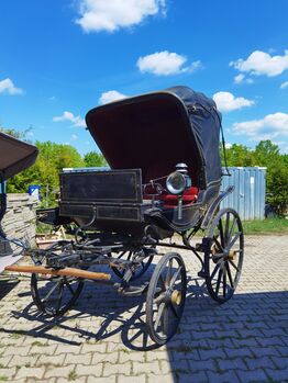 Doktor Waagen, Christine Leicht , Carriages, Bischberg