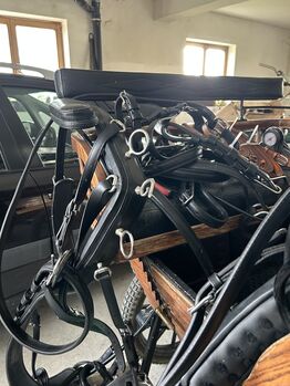 Zweispänner Brustblattgeschirr, Brustblattgeschirr , Hildegard , Horse Harness, Kitzbühel 