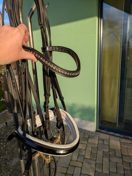 Kandare von Kiefer mit Gebissen Kiefer