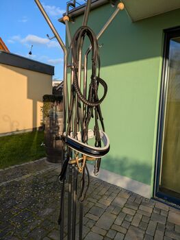 Kandare von Kiefer mit Gebissen, Kiefer, Elke Sänger , Other, Steinweiler 