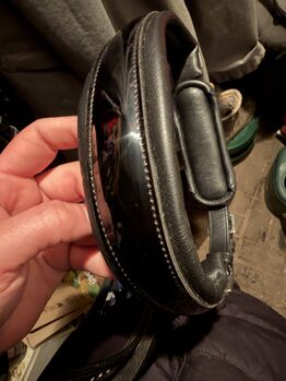 Kandarenzaum Genf Gr.Vollblut