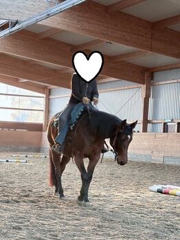 Traumstute für Sport und Freizeit