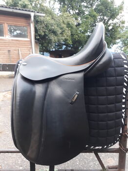 Dressursattel, Euroriding  Luxor Evolution , Angela Fritz , Dressage Saddle, Schwangau