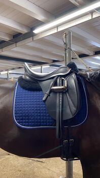 Dressursattel Kent and Masters, Kent and Masters, Maja Hissbach, Dressage Saddle, Sulzbach