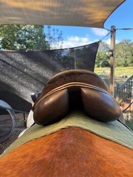 Dressage Saddle, leton, Other, Lincoln
