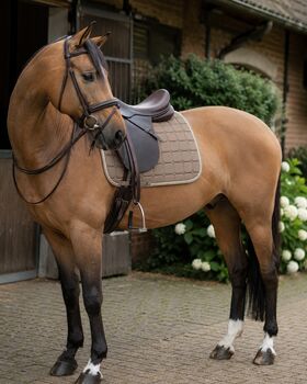 Dressur Schabracke, HKM, Anna Bunzendahl , Dressage Pads, Trendelburg