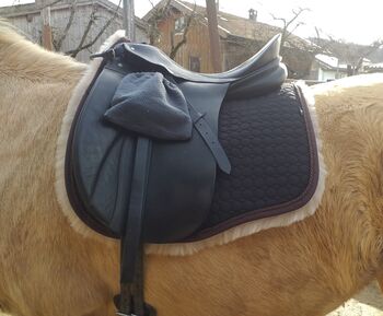 Dressursattel Passier Grand Gilbert, Passier  Grand Gilbert , Bernadette Zahler, Dressage Saddle, Bayern - Bad Endorf