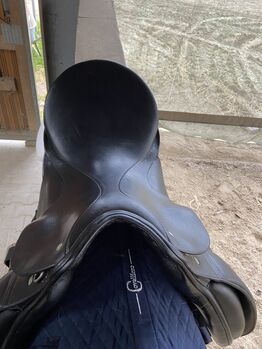 Dressursattel Passier Passier Grand Gilbert Zoll 17,5 