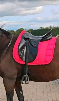 Dressursattel, Passier , Sandra , Dressage Saddle, Rendsburg