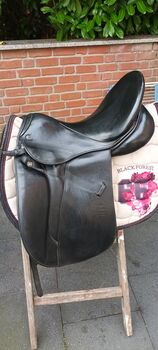 Dressursattel Stübben Maestoso de luxe, Stübben  Maestoso de luxe, Alex, Dressage Saddle, Bergisch Gladbach