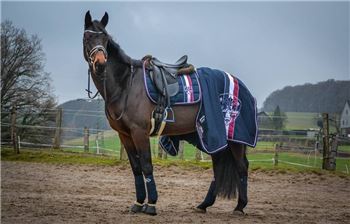 Dressursattel, Wintec Pro Isabell Werth , Joanne Fröhlich , Dressage Saddle, Wuppertal 