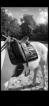 Dressursattel 17,5 Zoll, Cavaletti Synthetic dressage, Kaja, Fellsattel, Wilhelmshaven