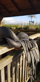 Dressursattel Ikonic, Ikonic, Jenni, Dressage Saddle, Lohmar