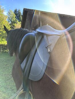 Dressursattel - Kentaur Afrodite (Kammerweite 3, Sitzfläche 17,5) Kentaur Afrodite