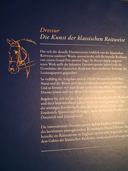 Dressur Die kunst der klassischen Reitweise Silvia Loch Neuwertig