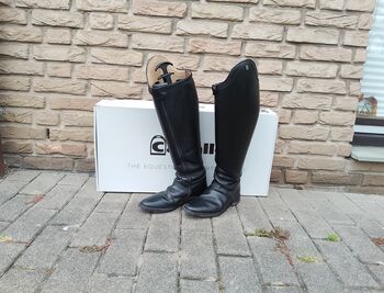 Dressurstiefel Cavallo Insignis