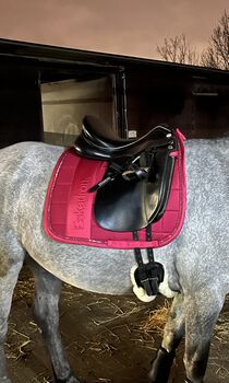 Dressursattel Grande CS Spezial (Prestige), Julia, Dressage Saddle, Mülheim an der Ruhr