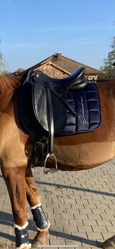 Dressursattel Kieffer „Hamburg“, Kieffer Hamburg , Nina , Dressage Saddle, Berlin 