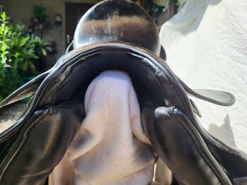 Dressursattel  Passier  Compact   Gr  2, Passier Compact, Gaby  Zbeczka, Dressage Saddle, Geestland