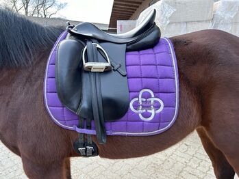 Dressursattel Prestige Top Dressage 17 Zoll, Prestige, Uschi, Dressage Saddle, Wien, Floridsdorf