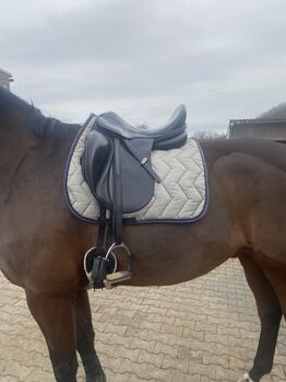 Dressursattel Stübben Aramis II GP, Stübben, Joline, Dressage Saddle, Castrop Rauxel 