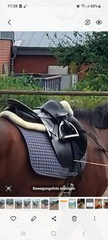 Dressursattel Stübben, Stübben , Elisa Heinig, Dressage Saddle, Lingen